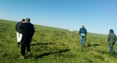 Familias colonos y técnicos recorren el campo para observar avances en pasturas y ganados